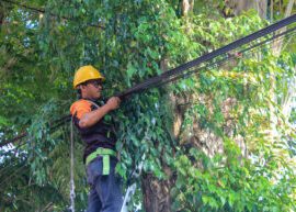 Indonesia, August 08, 2023: Internet fiber optic cable network technicians are tidying up messy cables on electricity poles in the middle of the city