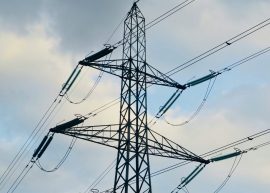 rose-galloway-green-ToZHjTt_KQ8-unsplash